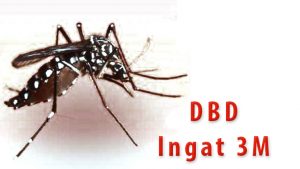 dbd