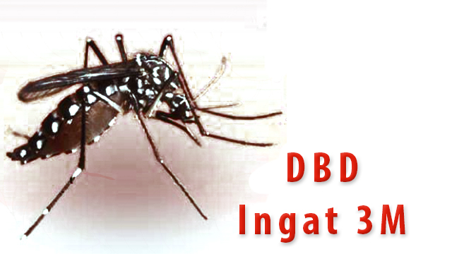 dbd