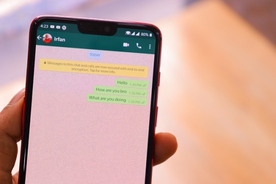 chat via wa tanpa save nomor