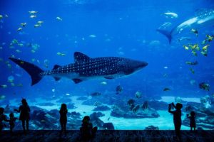 wisata edukasi di jakarta