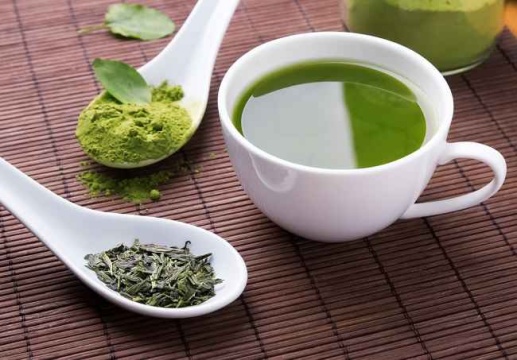 obat tradisional penurun panas