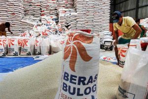 Rekor Stok Beras