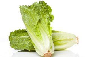 manfaat daun selada