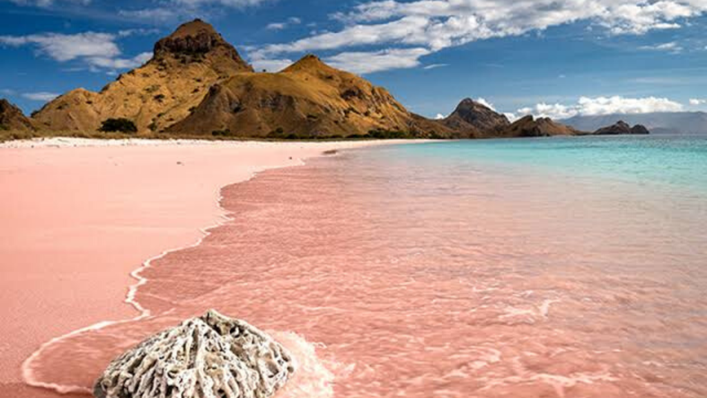 Pink Beach Lombok