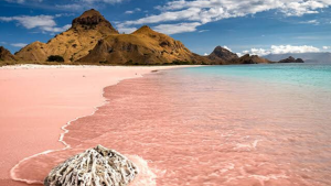 Pink Beach Lombok