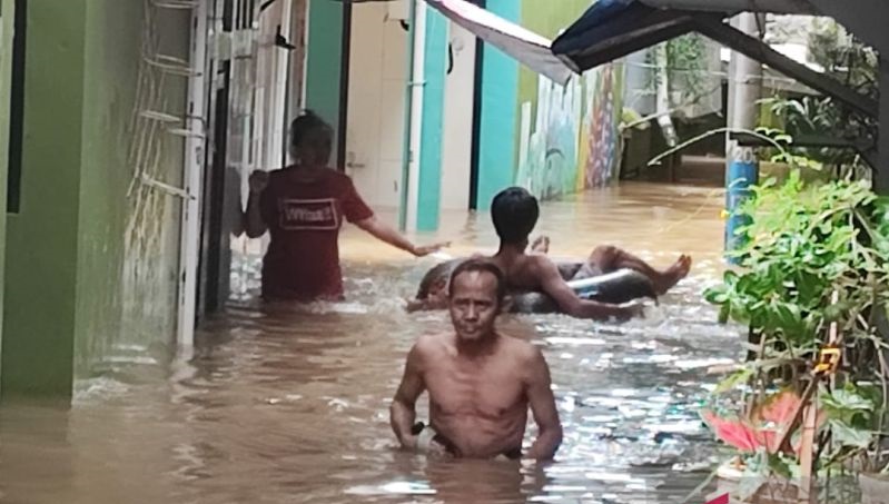 kebon pala