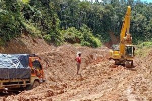 Trans Papua