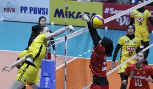 pln proliga