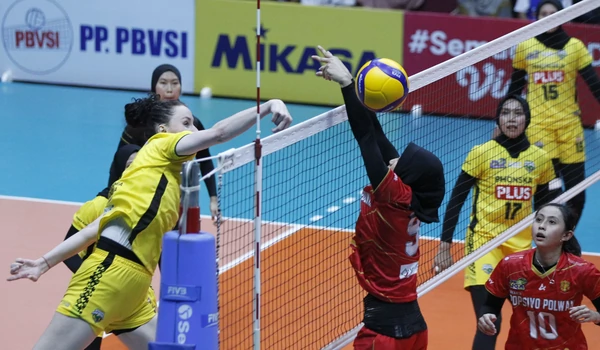 pln proliga