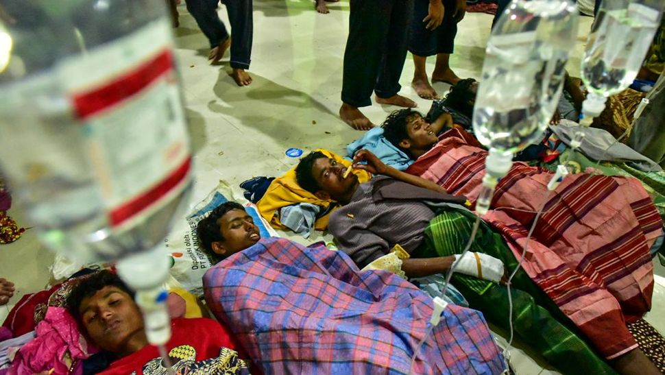 rohingya