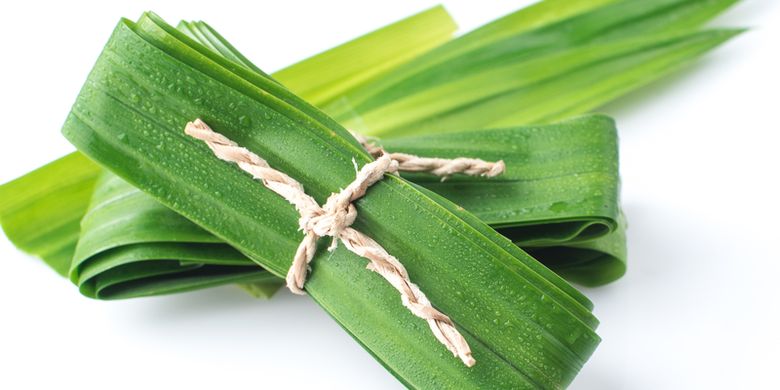 pembungkus makanan