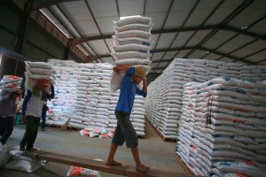 stok beras