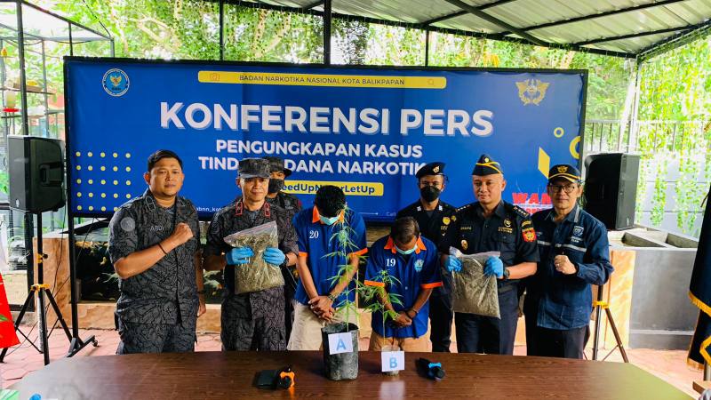 pemilik ganja