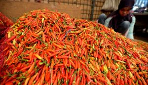 Harga Cabai Meroket, Ini Biang Keroknya