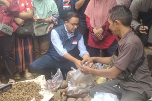 anies baswedan