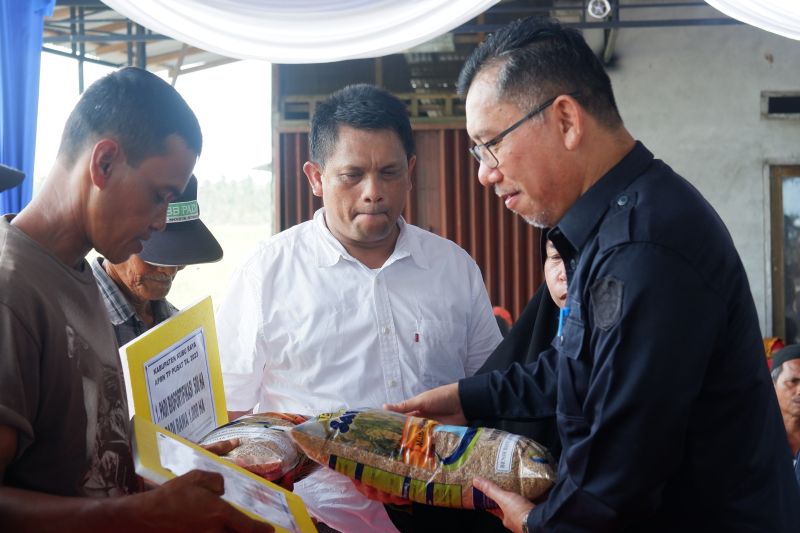 Periode Januari - Maret ada 167 ribu hektare luas lahan padi yang dipanen, sehingga Kalbar kini mengalami surplus beras.