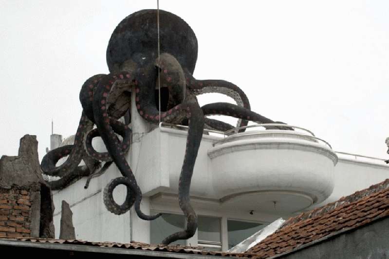 rumah gurita