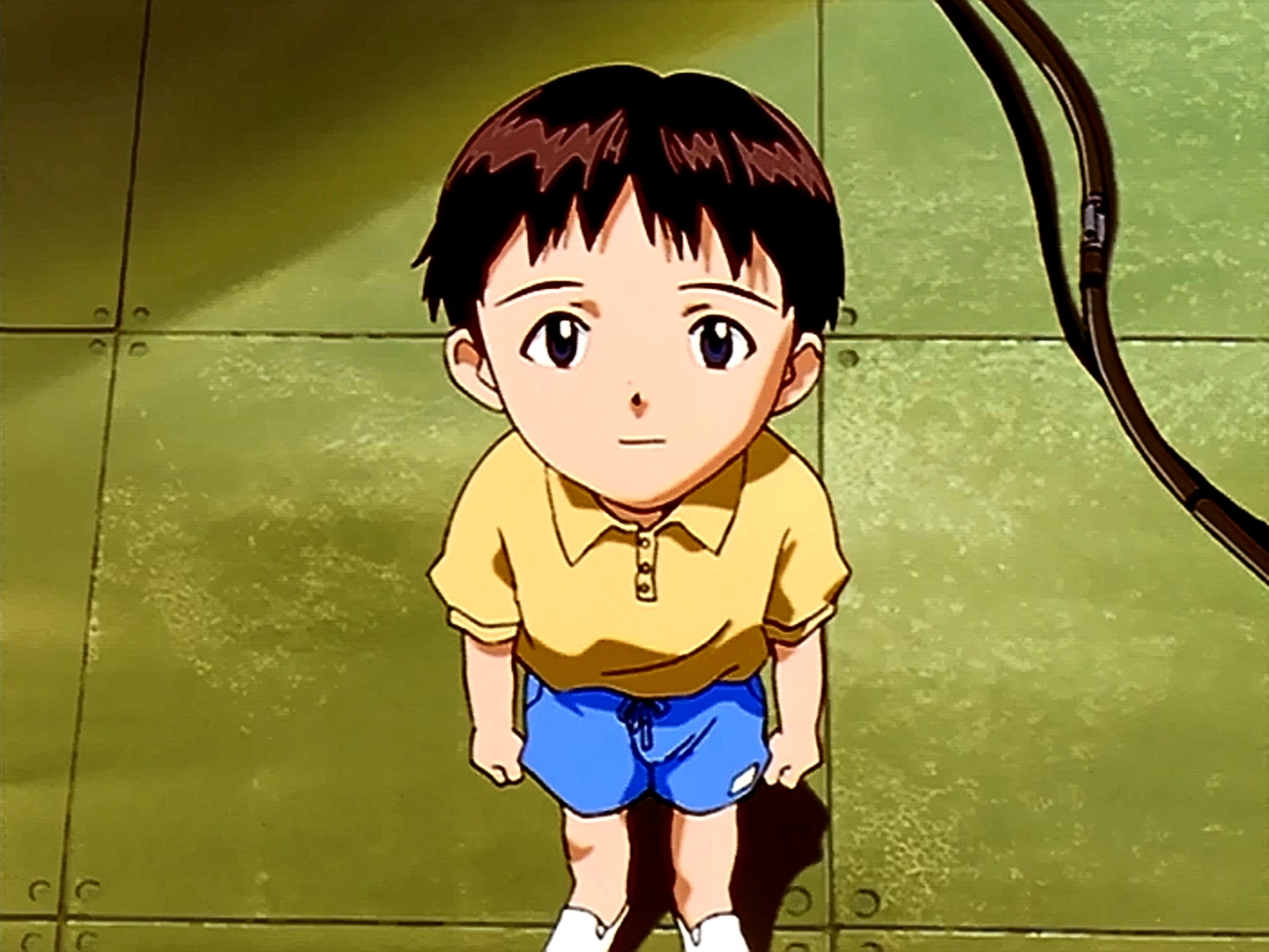 shinji