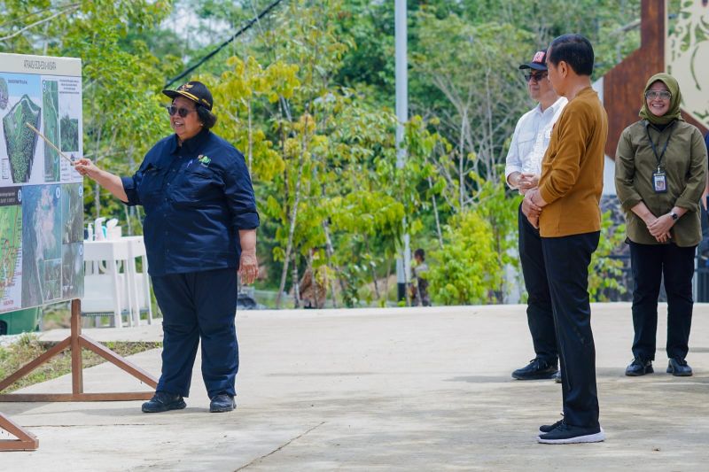 hutan
