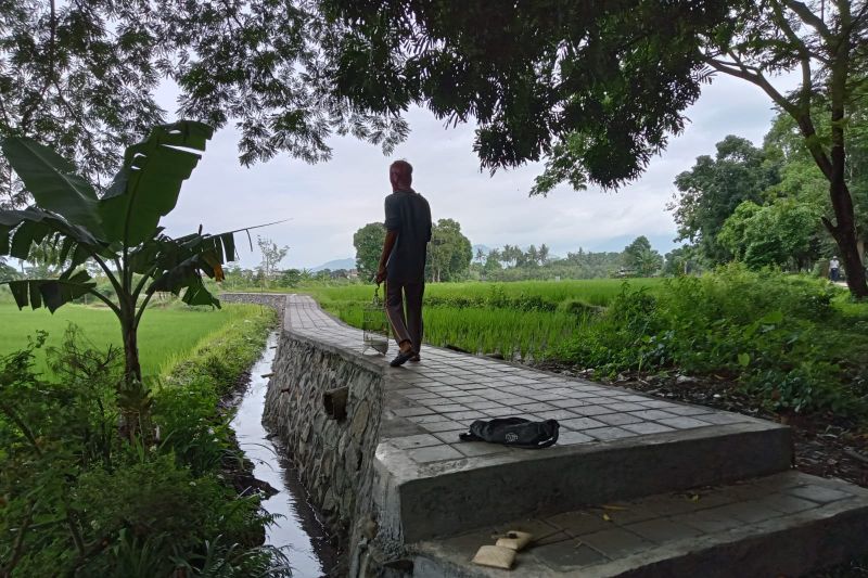 penan paradise