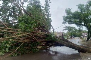 bpbd cianjur