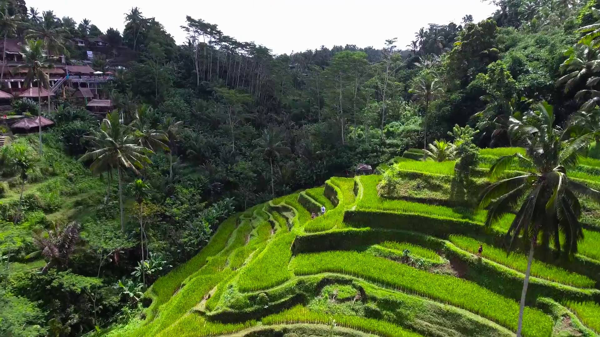 berlibur ke Ubud