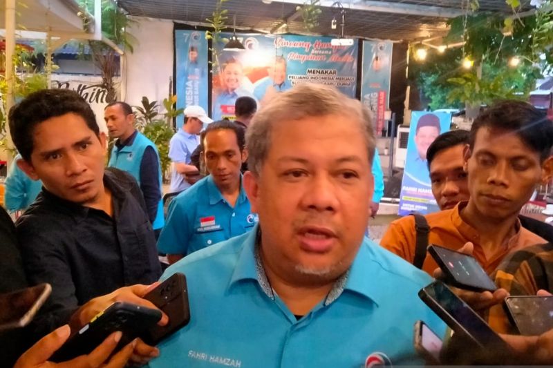 Fahri Hamzah