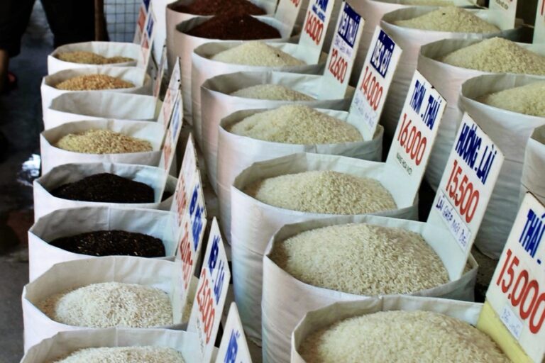 harga beras