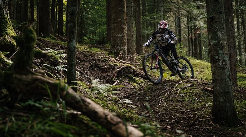 Trek mountain bike