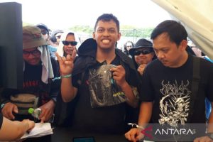 hammersonic