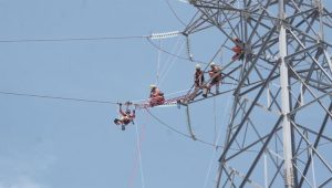 pln