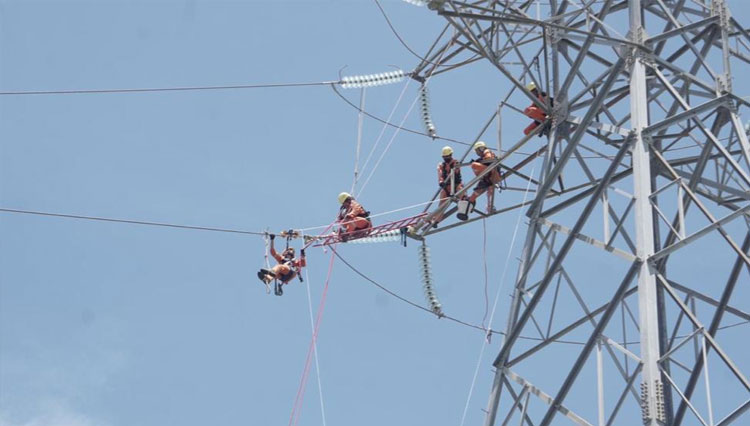 pln