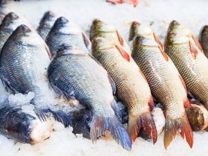Memilih Ikan Segar
