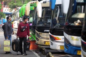 bus gratis