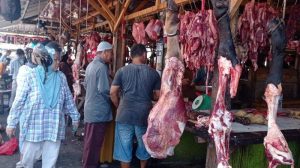 daging sapi