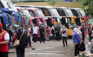 mudik gratis