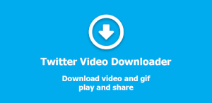 Download Video di Twitter