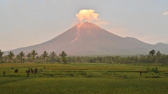 gunung semeru