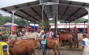 jelang idul adha