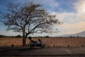 Kisah Mistis Alas Baluran