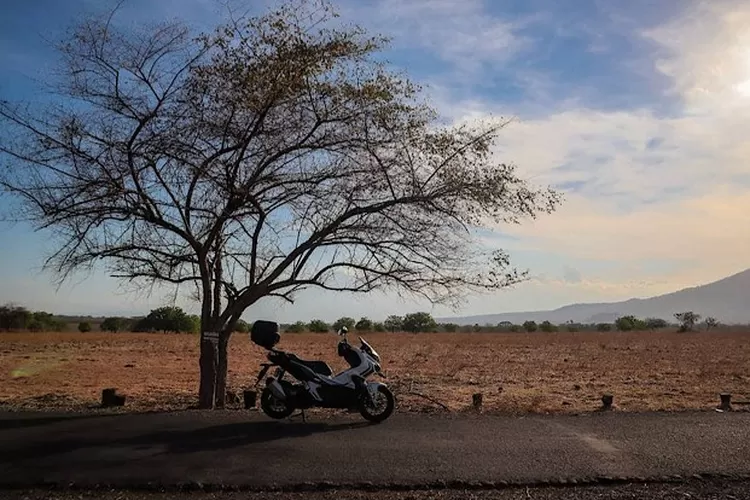 Kisah Mistis Alas Baluran