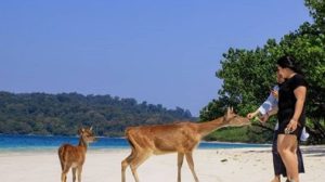 Taman Nasional Ujung Kulon