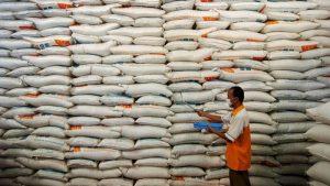 stok beras