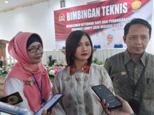 ruu kesehatan