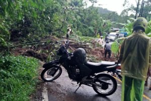 tanah longsor