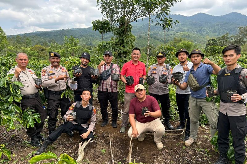 ladang ganja