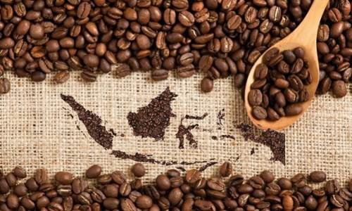 kopi nusantara