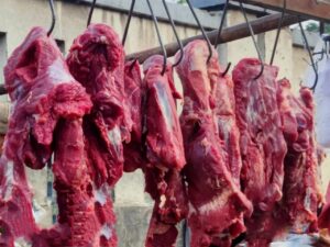 idul adha Daging Sapi