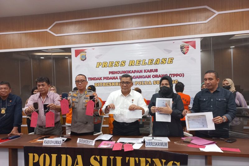 perdagangan bayi