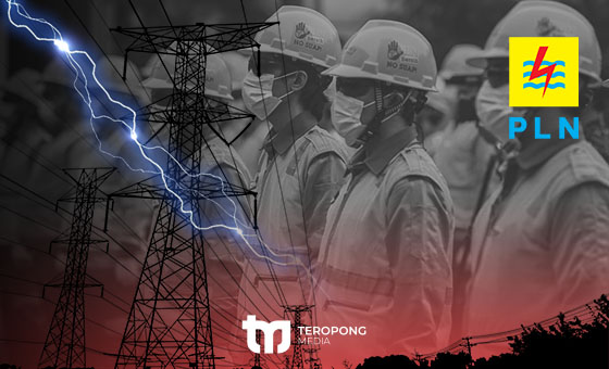 PLN